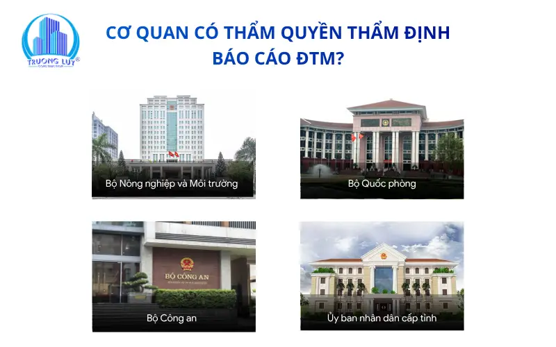 cơ quan thẩm định báo cáo ĐTM